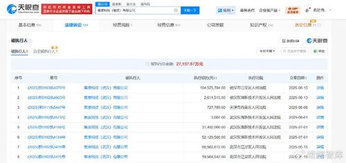 集度科技武漢公司被執(zhí)行1.04億，互聯(lián)網信息服務行業(yè)風險警鐘長鳴
